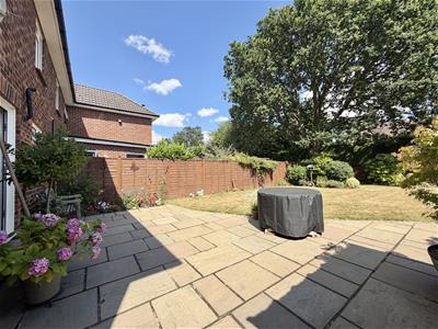 Picture 27